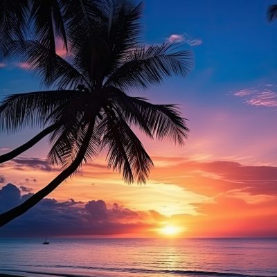 palm-trees-silhouette-against-a-stunning-background-